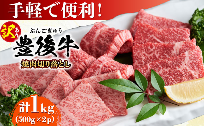 【訳あり】おおいた豊後牛 焼肉 切り落とし 1kg(500g×2P) 日田市 / 株式会社MEAT PLUS　牛 うし 黒毛和牛 和牛 豊後牛 [AREI033] 【単品】1kg(500g×2)