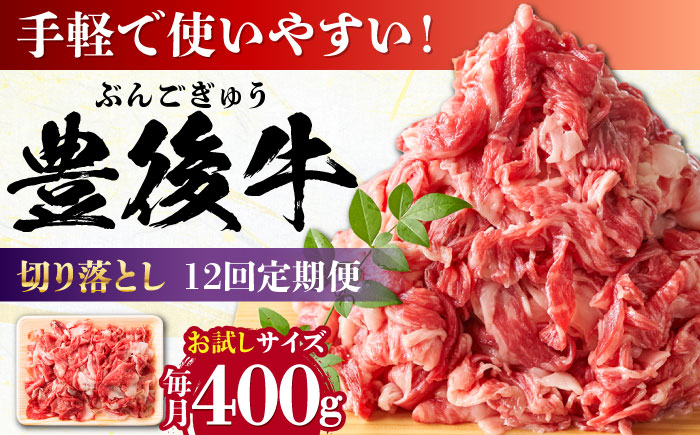 【全12回定期便】【お試しにピッタリ！】 おおいた豊後牛 牛肉 切り落とし 400g 日田市 / 株式会社MEAT PLUS　肉 牛肉 和牛 [AREI040] 【全12回定期便】
