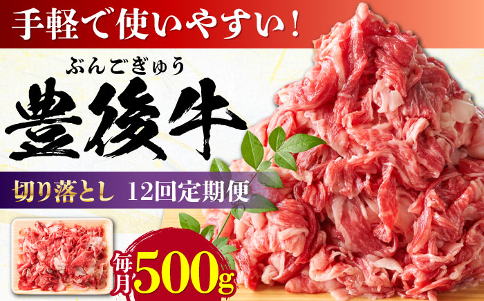 【全12回定期便】【使いやすい！】 おおいた豊後牛 牛肉 切り落とし 500g 日田市 / 株式会社MEAT PLUS　肉 牛肉 和牛 [AREI043] 【全12回定期便】