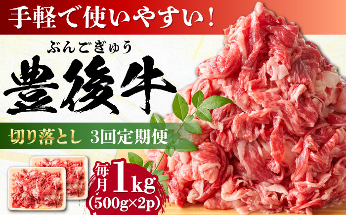 【全3回定期便】【小分けで便利！】おおいた豊後牛 牛肉 切り落とし 1kg (500g×2)  日田市 / 株式会社MEAT PLUS　肉 牛肉 和牛 [AREI044] 【全3回定期便】