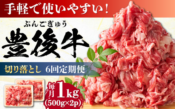 【全6回定期便】【小分けで便利！】おおいた豊後牛 牛肉 切り落とし 1kg (500g×2)  日田市 / 株式会社MEAT PLUS　肉 牛肉 和牛 [AREI045] 【全6回定期便】
