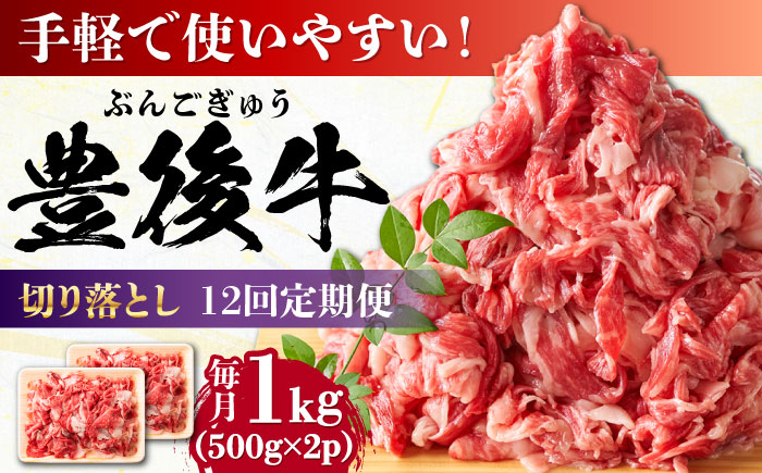 【全12回定期便】【小分けで便利！】おおいた豊後牛 牛肉 切り落とし 1kg (500g×2)  日田市 / 株式会社MEAT PLUS　肉 牛肉 和牛 [AREI046] 【全12回定期便】