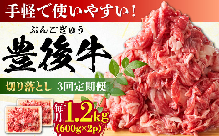【全3回定期便】【大容量パック！】 おおいた豊後牛 牛肉 切り落とし 1.2kg (600g×2) 日田市 / 株式会社MEAT PLUS　肉 牛肉 和牛 [AREI047] 【全3回定期便】