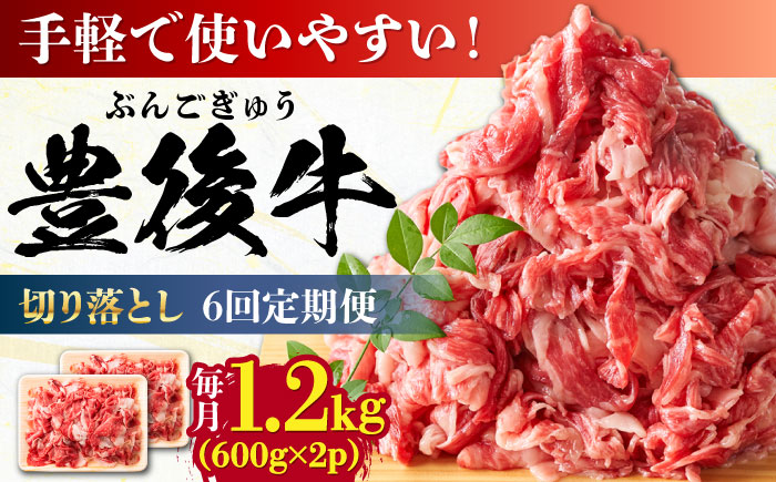 【全6回定期便】【大容量パック！】 おおいた豊後牛 牛肉 切り落とし 1.2kg (600g×2) 日田市 / 株式会社MEAT PLUS　肉 牛肉 和牛 [AREI048] 【全6回定期便】