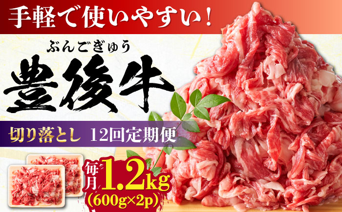 【全12回定期便】【大容量パック！】 おおいた豊後牛 牛肉 切り落とし 1.2kg (600g×2) 日田市 / 株式会社MEAT PLUS　肉 牛肉 和牛 [AREI049] 【全12回定期便】