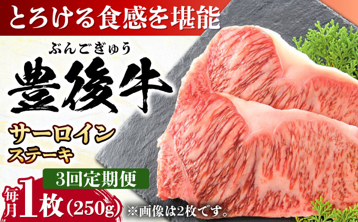 【全3回定期便】おおいた豊後牛 サーロインステーキ 250g (250g×1枚) 日田市 / 株式会社MEAT PLUS　肉 牛肉 和牛 [AREI053] 【全3回定期便】