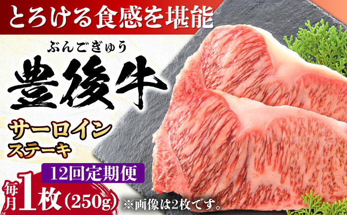 【全12回定期便】おおいた豊後牛 サーロインステーキ 250g (250g×1枚) 日田市 / 株式会社MEAT PLUS　肉 牛肉 和牛 [AREI055] 【全12回定期便】