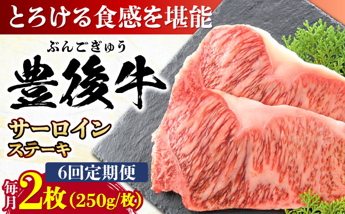 【全6回定期便】おおいた豊後牛 サーロインステーキ 500g (250g×2枚) 日田市 / 株式会社MEAT PLUS　肉 牛肉 和牛 [AREI057] 【全6回定期便】