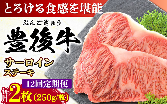 【全12回定期便】おおいた豊後牛 サーロインステーキ 500g (250g×2枚) 日田市 / 株式会社MEAT PLUS　肉 牛肉 和牛 [AREI058] 【全12回定期便】