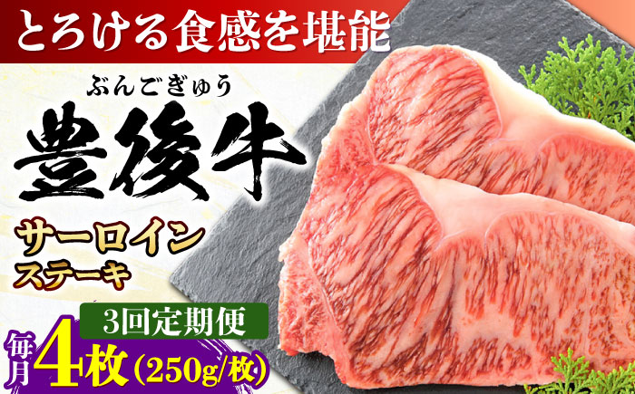 【全3回定期便】おおいた豊後牛 サーロインステーキ 1kg (250g×4枚) 日田市 / 株式会社MEAT PLUS　肉 牛肉 和牛 [AREI059] 【全3回定期便】