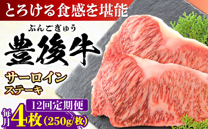 【全12回定期便】おおいた豊後牛 サーロインステーキ 1kg (250g×4枚) 日田市 / 株式会社MEAT PLUS　肉 牛肉 和牛 [AREI061] 【全12回定期便】