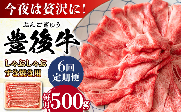【全6回定期便】おおいた豊後牛 しゃぶしゃぶすき焼き用（肩ロース・肩バラ・モモ）500g 日田市 / 株式会社MEAT PLUS　 牛 和牛 [AREI066] 【全6回定期便】