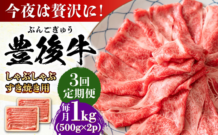 【全3回定期便】おおいた豊後牛 しゃぶしゃぶすき焼き用（肩ロース・肩バラ・モモ）1kg(500g×2) 日田市 / 株式会社MEAT PLUS　 牛 和牛 [AREI074] 【全3回定期便】
