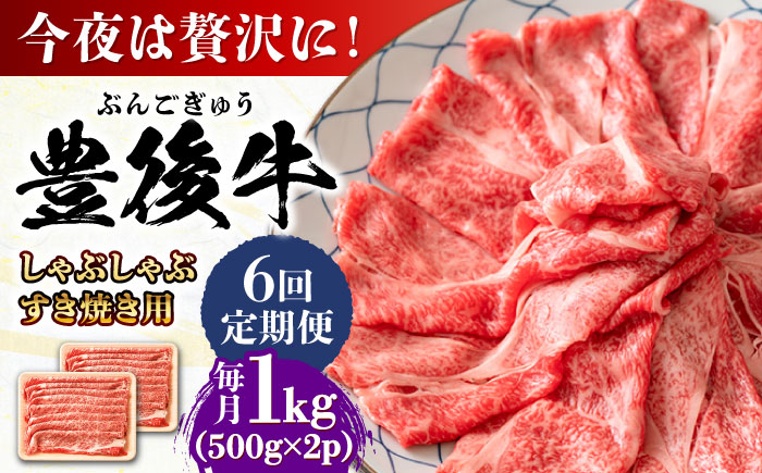 【全6回定期便】おおいた豊後牛 しゃぶしゃぶすき焼き用（肩ロース・肩バラ・モモ）1kg(500g×2) 日田市 / 株式会社MEAT PLUS　 牛 和牛 [AREI075] 【全6回定期便】