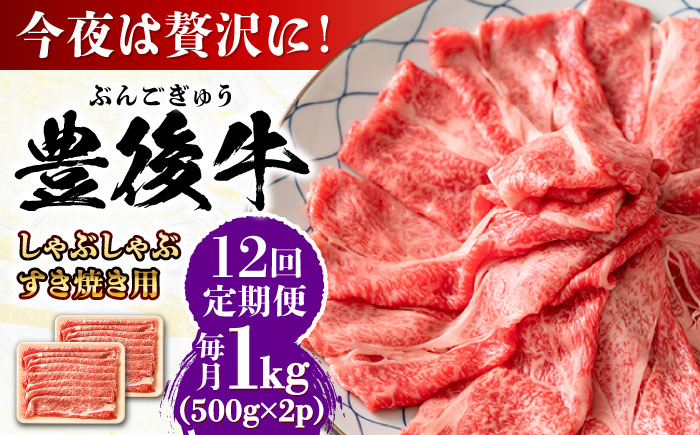 【全12回定期便】おおいた豊後牛 しゃぶしゃぶすき焼き用（肩ロース・肩バラ・モモ）1kg(500g×2) 日田市 / 株式会社MEAT PLUS　 牛 和牛 [AREI076] 【全12回定期便】