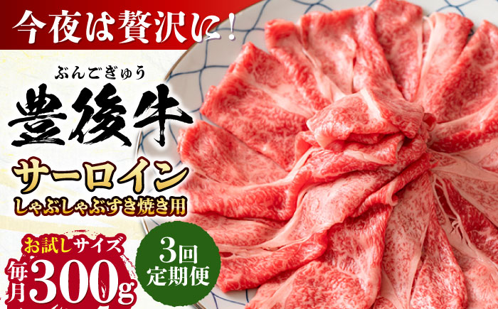 【全3回定期便】【厳選部位】おおいた豊後牛 サーロイン しゃぶしゃぶすき焼き用 300g 日田市 / 株式会社MEAT PLUS　牛 うし 黒毛和牛 和牛 豊後牛 [AREI080] 【全3回定期便】