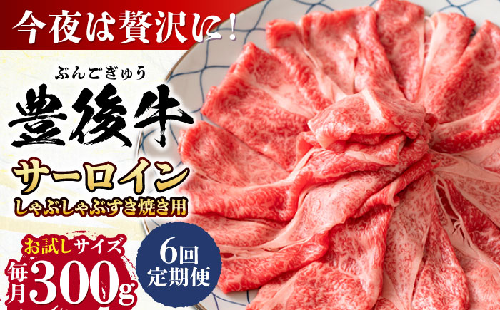 【全6回定期便】【厳選部位】おおいた豊後牛 サーロイン しゃぶしゃぶすき焼き用 300g 日田市 / 株式会社MEAT PLUS　牛 うし 黒毛和牛 和牛 豊後牛 [AREI081] 【全6回定期便】