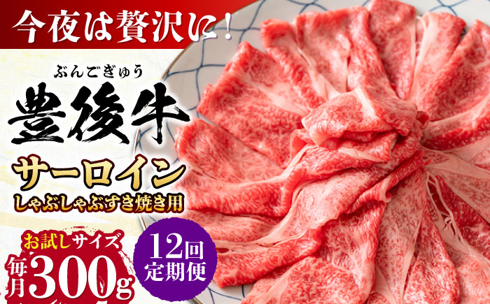 【全12回定期便】【厳選部位】おおいた豊後牛 サーロイン しゃぶしゃぶすき焼き用 300g 日田市 / 株式会社MEAT PLUS　牛 うし 黒毛和牛 和牛 豊後牛 [AREI082] 【全12回定期便】
