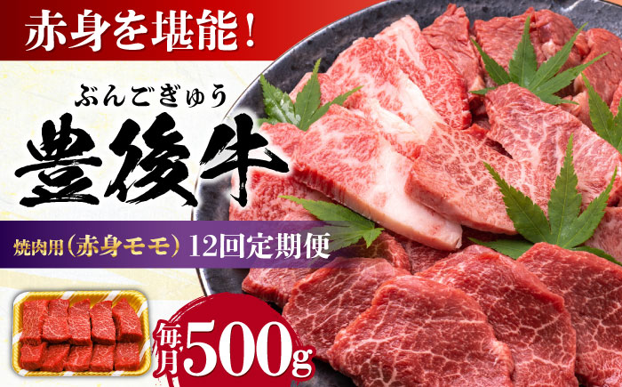 【全12回定期便】おおいた豊後牛 赤身モモ 焼肉用 500g 日田市 / 株式会社MEAT PLUS　牛 うし 黒毛和牛 和牛 豊後牛 [AREI094] 【全12回定期便】