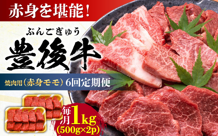 【全6回定期便】おおいた豊後牛 赤身モモ 焼肉用 1kg(500g×2P) 日田市 / 株式会社MEAT PLUS　牛 うし 黒毛和牛 和牛 豊後牛 [AREI096] 【全6回定期便】