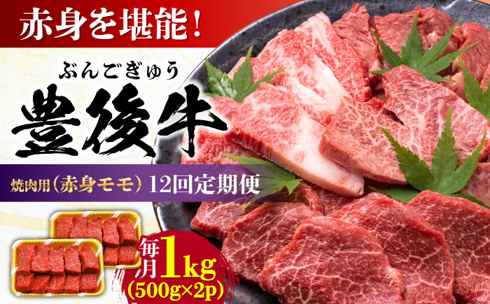 【全12回定期便】おおいた豊後牛 赤身モモ 焼肉用 1kg(500g×2P) 日田市 / 株式会社MEAT PLUS　牛 うし 黒毛和牛 和牛 豊後牛 [AREI097] 【全12回定期便】