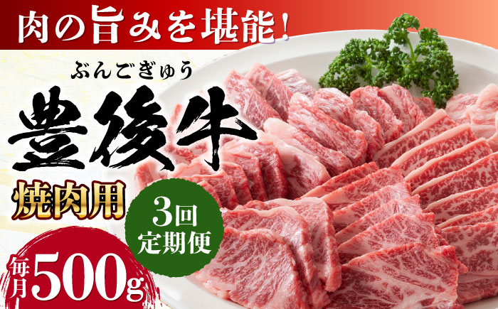 【全3回定期便】おおいた豊後牛 焼肉用 500g 日田市 / 株式会社MEAT PLUS　牛 うし 黒毛和牛 和牛 豊後牛 [AREI098] 【全3回定期便】