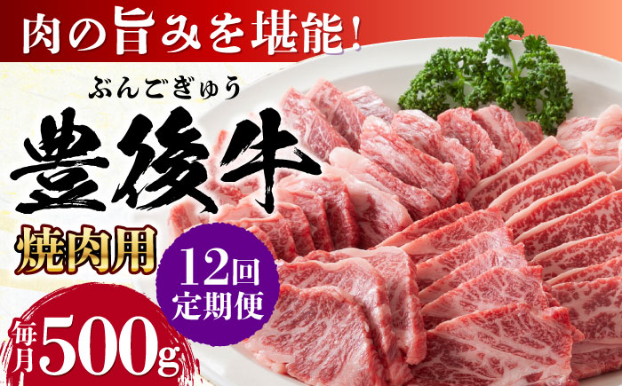 【全12回定期便】おおいた豊後牛 焼肉用 500g 日田市 / 株式会社MEAT PLUS　牛 うし 黒毛和牛 和牛 豊後牛 [AREI100] 【全12回定期便】