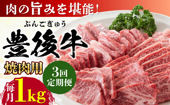 【全3回定期便】おおいた豊後牛 焼肉用 1kg(500g×2P) 日田市 / 株式会社MEAT PLUS　牛 うし 黒毛和牛 和牛 豊後牛 [AREI101] 【全3回定期便】