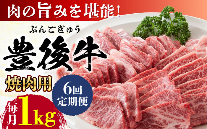 【全6回定期便】おおいた豊後牛 焼肉用 1kg(500g×2P) 日田市 / 株式会社MEAT PLUS　牛 うし 黒毛和牛 和牛 豊後牛 [AREI102] 【全6回定期便】