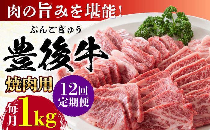 【全12回定期便】おおいた豊後牛 焼肉用 1kg(500g×2P) 日田市 / 株式会社MEAT PLUS　牛 うし 黒毛和牛 和牛 豊後牛 [AREI103] 【全12回定期便】