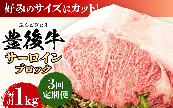 【全3回定期便】【厳選部位】おおいた豊後牛 サーロイン ブロック 1kg 日田市 / 株式会社MEAT PLUS　牛 うし 黒毛和牛 和牛 豊後牛 [AREI104] 【全3回定期便】