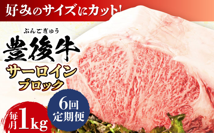 【全6回定期便】【厳選部位】おおいた豊後牛 サーロイン ブロック 1kg 日田市 / 株式会社MEAT PLUS　牛 うし 黒毛和牛 和牛 豊後牛 [AREI105] 【全6回定期便】
