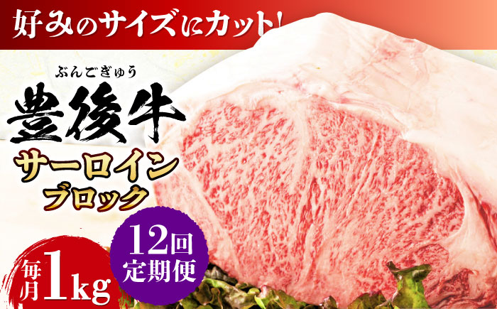 【全12回定期便】【厳選部位】おおいた豊後牛 サーロイン ブロック 1kg 日田市 / 株式会社MEAT PLUS　牛 うし 黒毛和牛 和牛 豊後牛 [AREI106] 【全12回定期便】