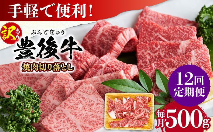 【全12回定期便】【訳あり】おおいた豊後牛 焼肉 切り落とし 500g 日田市 / 株式会社MEAT PLUS　牛 うし 黒毛和牛 和牛 豊後牛 [AREI133] 【全12回定期便】