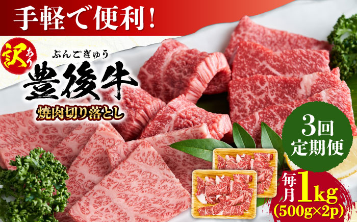 【全3回定期便】【訳あり】おおいた豊後牛 焼肉 切り落とし 1kg(500g×2P) 日田市 / 株式会社MEAT PLUS　牛 うし 黒毛和牛 和牛 豊後牛 [AREI134] 【全3回定期便】