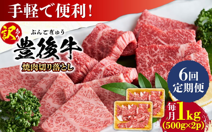 【全6回定期便】【訳あり】おおいた豊後牛 焼肉 切り落とし 1kg(500g×2P) 日田市 / 株式会社MEAT PLUS　牛 うし 黒毛和牛 和牛 豊後牛 [AREI135] 【全6回定期便】