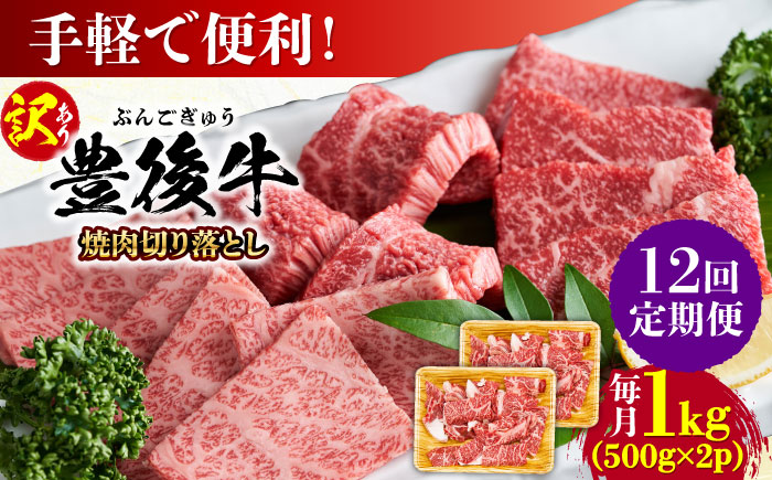 【全12回定期便】【訳あり】おおいた豊後牛 焼肉 切り落とし 1kg(500g×2P) 日田市 / 株式会社MEAT PLUS　牛 うし 黒毛和牛 和牛 豊後牛 [AREI136] 【全12回定期便】