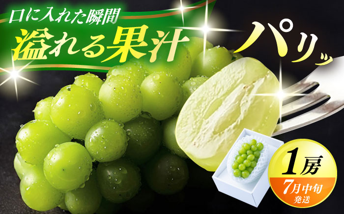 【先行予約・26年7月以降発送】 日田産シャインマスカット1房(約500g) ぶどう　日田市 / 南国フルーツ株式会社 ブドウ 葡萄 ぶどう 【配送不可地域：離島】[ARET001]