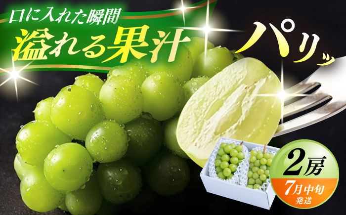 【先行予約・26年7月以降発送】 日田産シャインマスカット2房(約1kg) ぶどう　日田市 / 南国フルーツ株式会社 ブドウ 葡萄 ぶどう 【配送不可地域：離島】[ARET002]