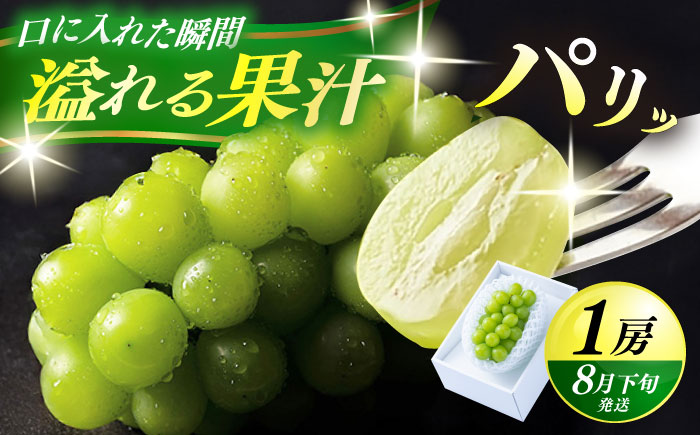 【期間限定】日田産シャインマスカット1房(約500g)　日田市 / 南国フルーツ株式会社 ブドウ 葡萄 ぶどう [ARET004]