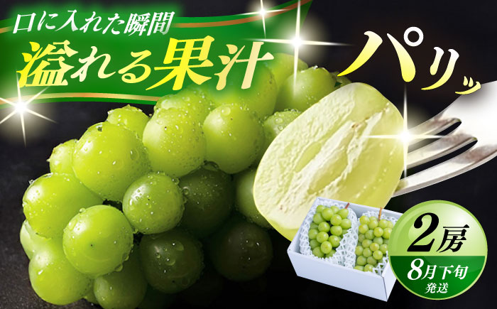 【期間限定】日田産シャインマスカット2房(約1kg) 日田市 / 南国フルーツ株式会社 ブドウ 葡萄 ぶどう [ARET005]