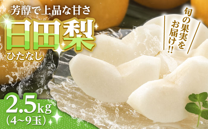【期間限定】 旬の日田梨お届け便 約2.5kg(幸水、豊水、秋月、新高、新興) 　日田市 / 南国フルーツ株式会社 なし 梨 果物 フルーツ [ARET007] 約2.5kg(4～9玉)