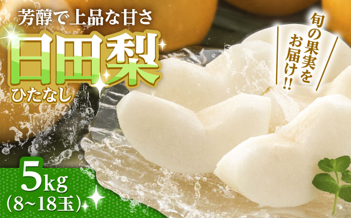 【期間限定】 旬の日田梨お届け便 約5kg(幸水、豊水、秋月、新高、新興) 　日田市 / 南国フルーツ株式会社 なし 梨 果物 フルーツ [ARET008] 約5kg(8～18玉)