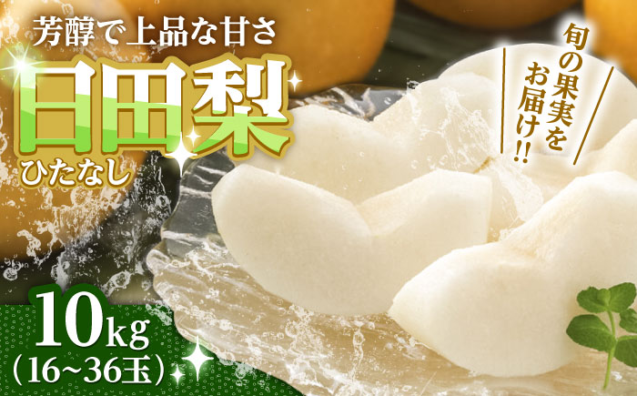 【期間限定】 旬の日田梨お届け便 約10kg(幸水、豊水、秋月、新高、新興) 　日田市 / 南国フルーツ株式会社 なし 梨 果物 フルーツ [ARET009] 約10kg(16～36玉)
