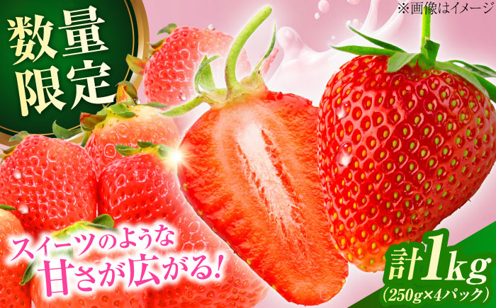 【先行予約・26年2月以降発送】　大分産ベリーツ(約250g×4パック)　日田市 / 南国フルーツ株式会社 [ARET010]