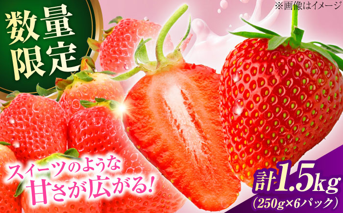 【先行予約・26年2月以降発送】　大分産ベリーツ(約250g×6パック)　日田市 / 南国フルーツ株式会社 [ARET011]