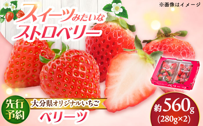 【先行予約・26年2月以降発送】 「ベリーツ」平大玉 約280g×2パック　日田市 / 株式会社スカイファーム [AREU001]