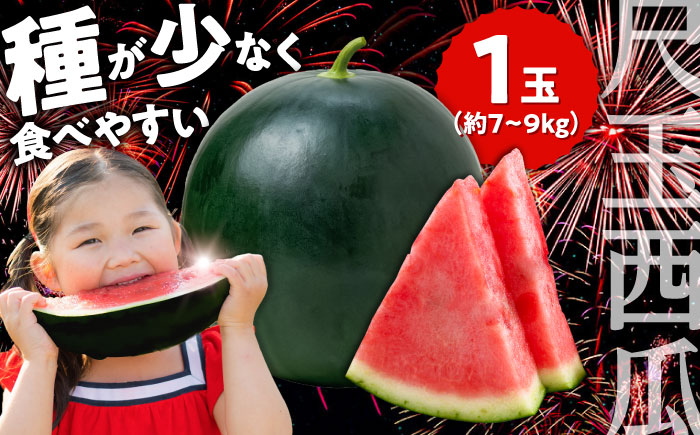 【先行予約・26年6月以降発送】尺玉西瓜 1玉（約7kg～9kg）スイカ 日田市 / JAおおいた【配送不可地域：北海道・沖縄・離島】 [AREW001]