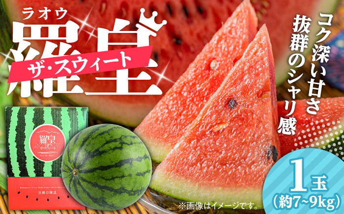 【先行予約・26年6月以降発送】日田西瓜（羅皇ザ・スウィート）  1玉 7~9kg スイカ 日田市 / JAおおいた【配送不可地域：北海道・沖縄・離島】[AREW002]