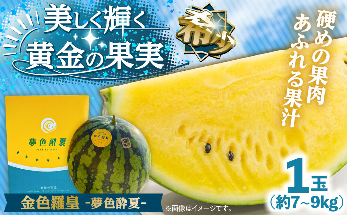 【先行予約・26年6月以降発送】夢色酔夏（金色羅皇）1玉 7~9kg スイカ 日田市 / JAおおいた【配送不可地域：北海道・沖縄・離島】　 [AREW003]